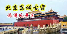 四级黄色视频中国北京-东城古宫旅游风景区